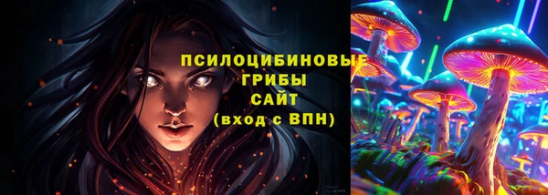 apvp Алзамай